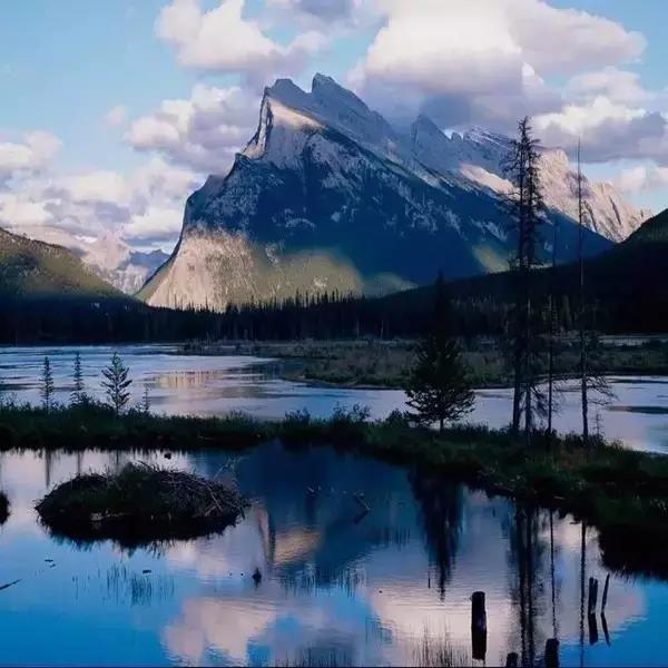 首页| 尊龙·Z6(中国集团)官方网站